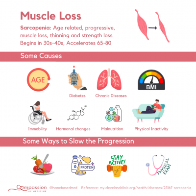 Understanding Muscle Loss: Causes, Management, and Treatment Options ...